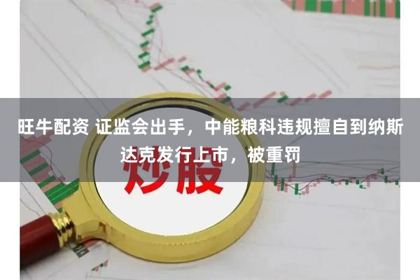 旺牛配资 证监会出手，中能粮科违规擅自到纳斯达克发行上市，被重罚